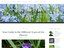 Tablet Screenshot of blueorchidblog.com